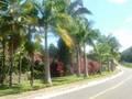 DSCF2660.JPG