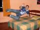 Avatar de Rodrigo  Show 4x4