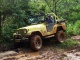 Avatar de Jeep Amarelo 77