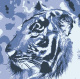 Avatar de Chuva