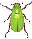 Avatar de beetle